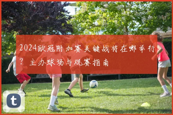 2024欧冠附加赛关键战将在哪举行？主办球场与观赛指南