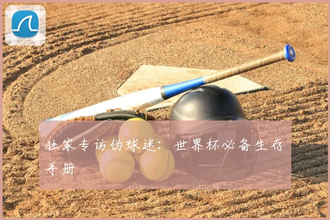 独家专访伪球迷:世界杯必备生存手册