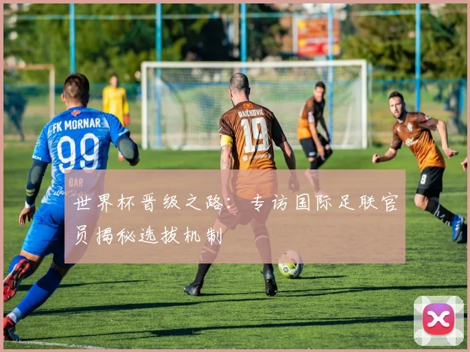 世界杯晋级之路：专访国际足联官员揭秘选拔机制
