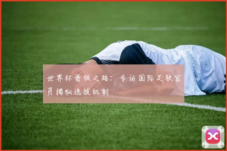 世界杯晋级之路：专访国际足联官员揭秘选拔机制