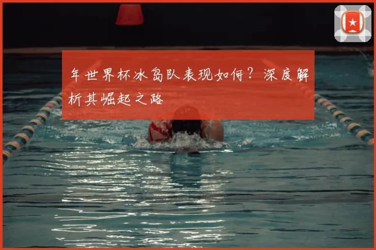 年世界杯冰岛队表现如何？深度解析其崛起之路