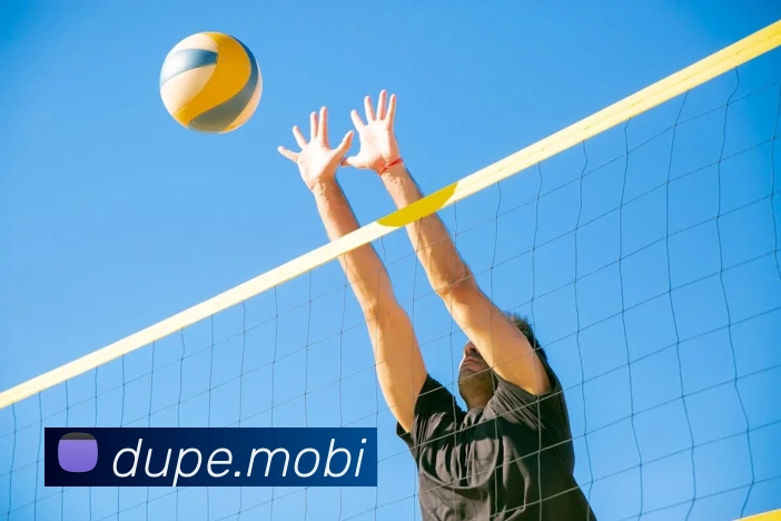 开云app官方版在线入口APP 封面图